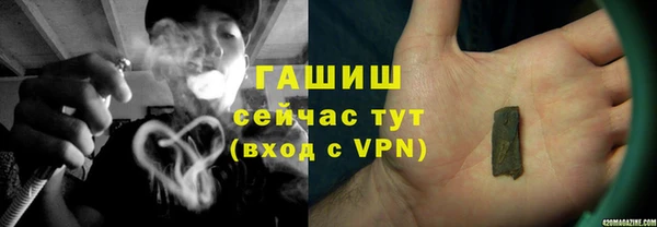 PSILOCYBIN Алзамай