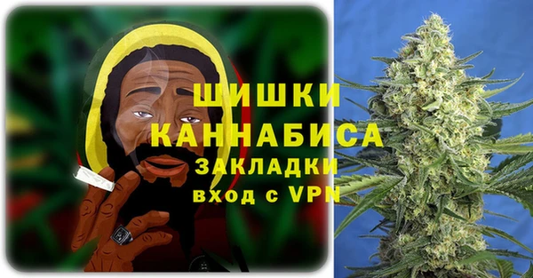 PSILOCYBIN Алзамай