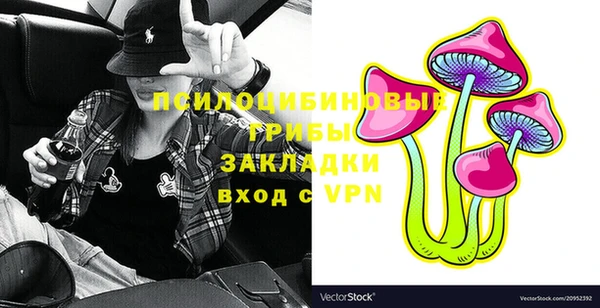 PSILOCYBIN Алзамай