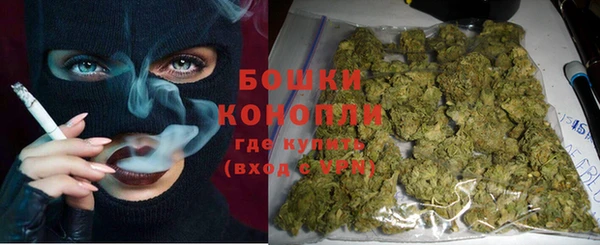 PSILOCYBIN Алзамай