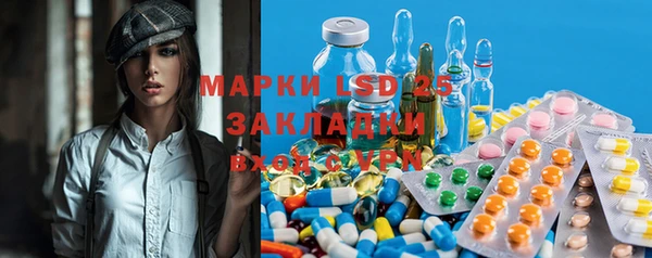 PSILOCYBIN Алзамай