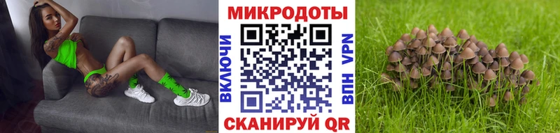 Галлюциногенные грибы Psilocybine cubensis  Бавлы 